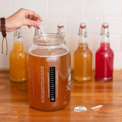 pH Test Sticks - 15 pack