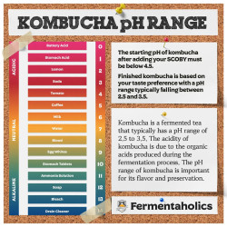 pH Test Sticks - 15 pack