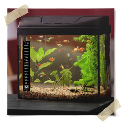 Adhesive Temperature Strip (46-93F Range)