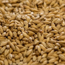 Dingemans Belgian Pale Ale Malt