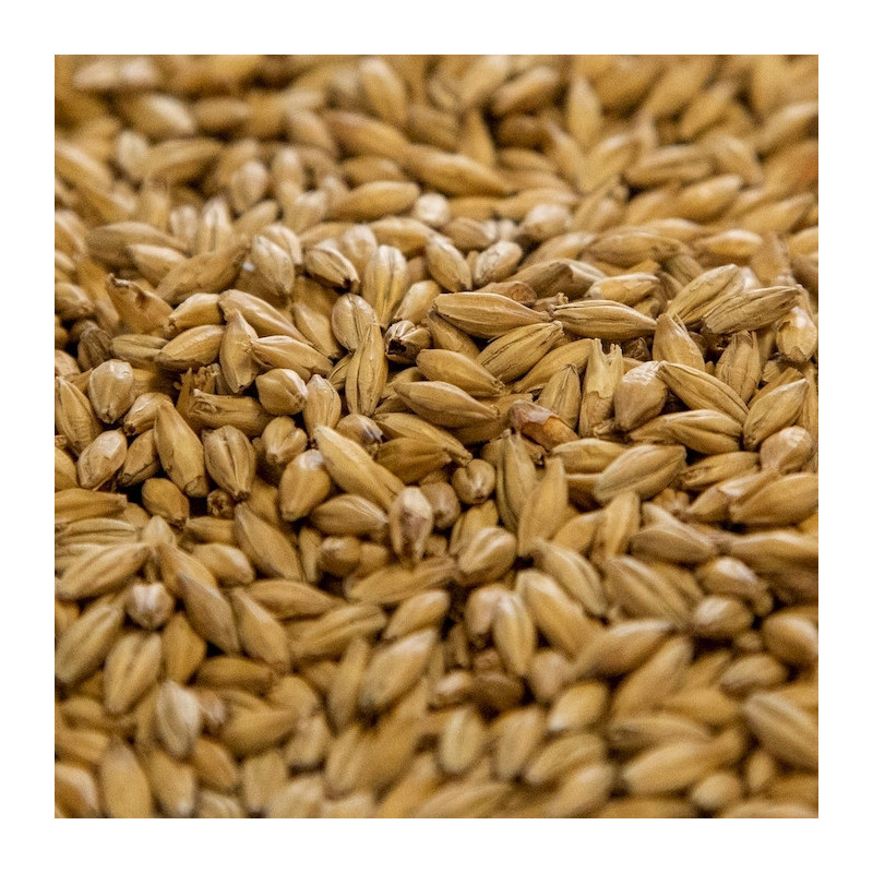 Dingemans Belgian Pale Ale Malt