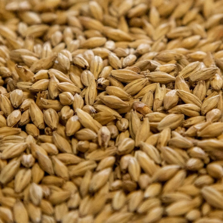 Dingemans Belgian Pale Ale Malt