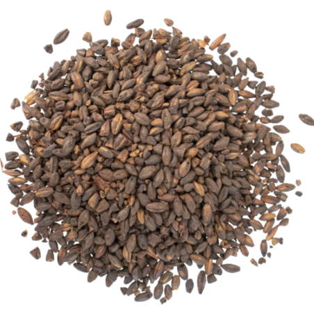 Warminster Chocolate Malt