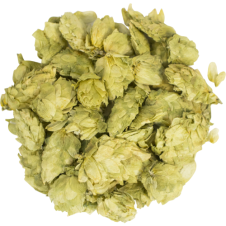Amarillo® Hops (Whole Cone)