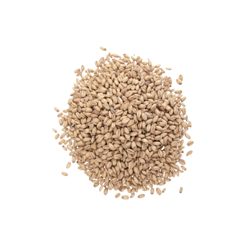 White Wheat Malt - Briess Malting