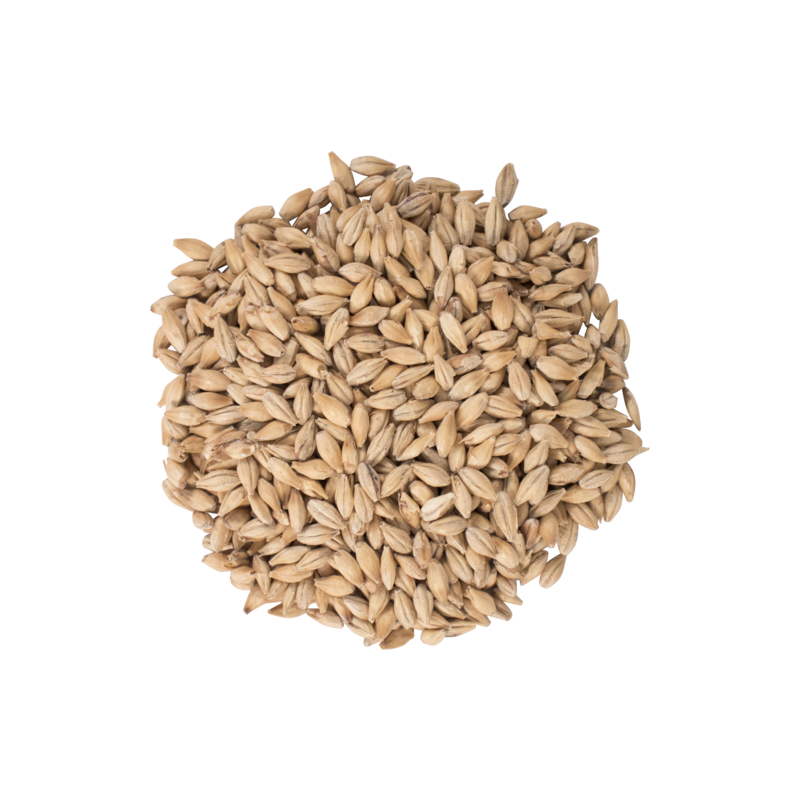 Biscuit Malt - Dingemans Malting