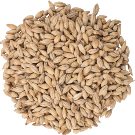 Biscuit Malt - Dingemans Malting