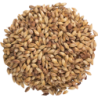 Briess 2-Row Caramel 40L Malt
