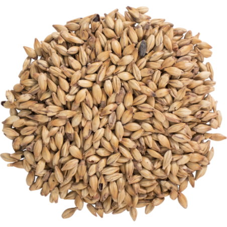 Bairds - Carastan Malt UK