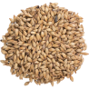 Bairds - Carastan Malt UK Bairds - Carastan Malt UK