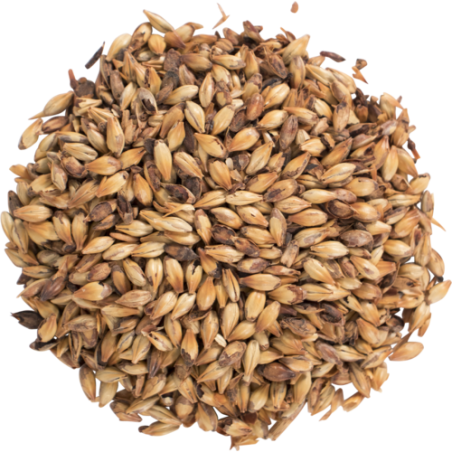 Briess Caramel 120L Malt