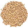 Wheat Malt - Viking Malt Wheat Malt - Viking Malt