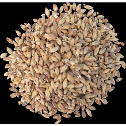 Bonlander Munich Malt