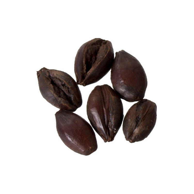 Chocolate Wheat Malt - Weyermann® Specialty Malts