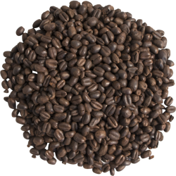 Blackswaen© Chocolate Barley