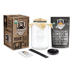 Essentials Kombucha Brewing Kit