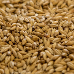Dingemans Belgian Pale Ale Malt