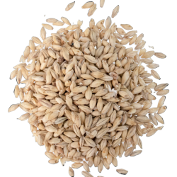 German Pilsner Malt - Weyermann® Specialty Malts