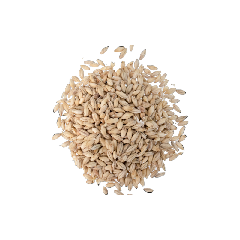 German Pilsner Malt - Weyermann® Specialty Malts
