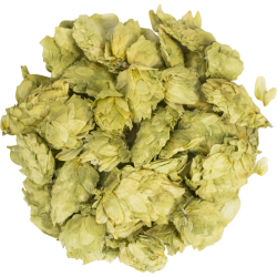 Amarillo® Hops (Whole Cone)