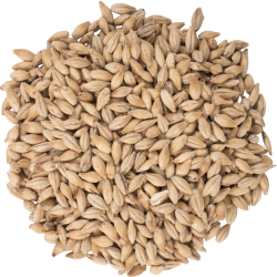 Carahell® Malt - Weyermann® Specialty Malts