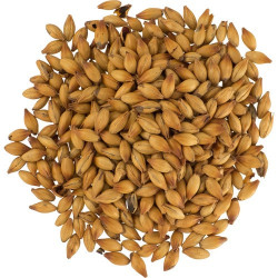 Peated Malt