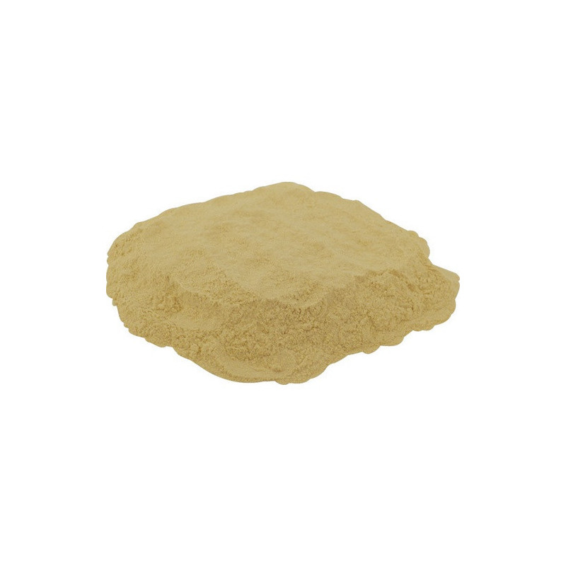 Fermaid O 12g