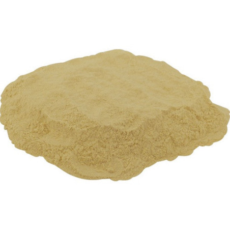 Fermaid O 12g