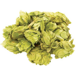 Mosaic® Brand HBC 369 Hops (Whole Cone)
