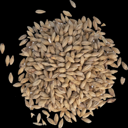 Munich Light Malt - Viking Malt