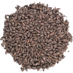 Briess 2-Row Black Malt