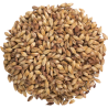 Briess 2-Row Caramel 40L Malt