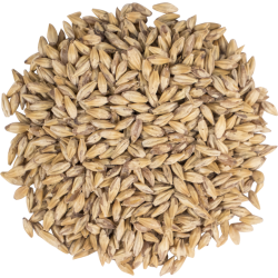 Briess 2-Row Carapils Malt
