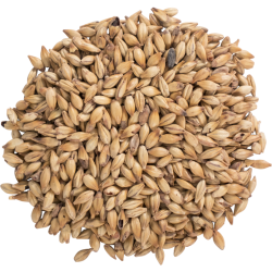 Bairds - Carastan Malt UK