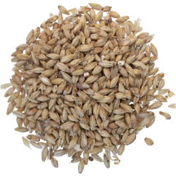 Briess Goldpils Vienna Malt