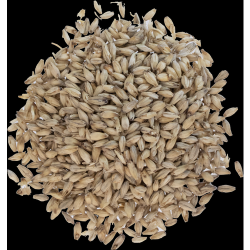 6-Row Malt - Rahr Malting