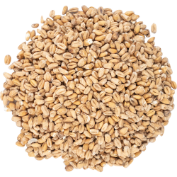 Wheat Malt - Viking Malt