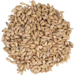 Briess Pale Ale Malt