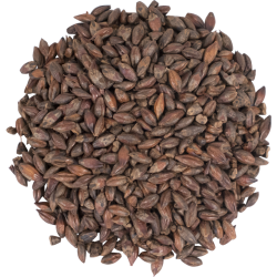 Briess Roasted Barley