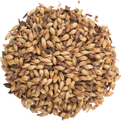 Briess Caramel 90L Malt