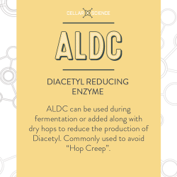 CellarScience® ALDC | Diacetyl Reducing Enzyme